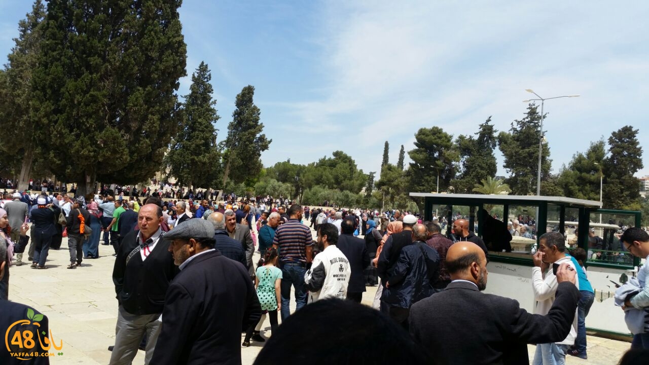 a7bab al aqsaa (18).jpg